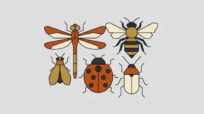 Flat illustration of five geometric insects including a dragonfly, a ladybug, and a bee on a light gray background.