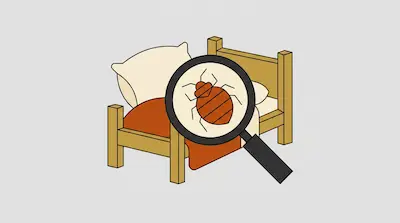 Flat illustration of a magnifying glass showing a bedbug on a wooden bed with a pillow and orange blanket