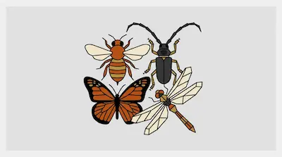 Flat illustration of a honeybee, monarch butterfly, longhorn beetle, and dragonfly on a light gray background