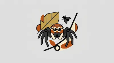 A stylized jumping spider with large eyes and black legs sits in front of a leaf and a fly.