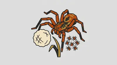A stylized orange and black spider stands next to a white egg sac and several spiderlings.