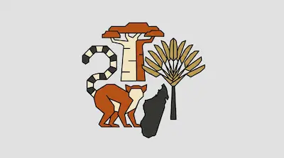 Flat illustration of a ring-tailed lemur, a baobab tree, and a traveler's palm arranged in a geometric circular design