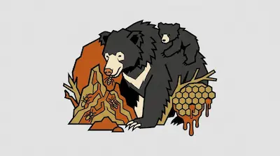 A shaggy sloth bear with a cream chest patch sucking insects from a mound beside a cub on its back and a dripping honeycomb on a light gray background