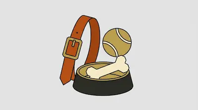 A brown dog collar, a yellow tennis ball, and a white bone inside a black food bowl.