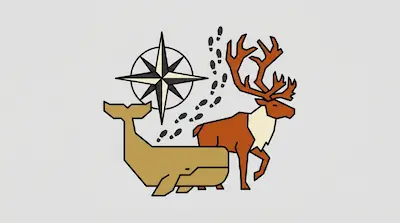 Flat illustration of a whale, a reindeer, a compass rose, and a trail of footprints on a light gray background