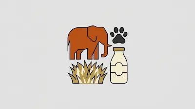 Flat illustration of an orange elephant, a black paw print, a patch of grass, and a milk bottle on a gray background