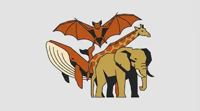 Flat illustration of a bat, a giraffe, a whale, and an elephant in a graphic, layered style on a gray background