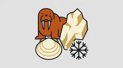 Flat illustration of a brown walrus with tusks, a jagged iceberg, a seashell, and a snowflake on a gray background