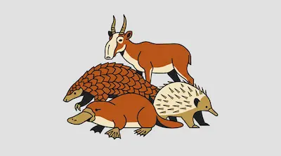 Flat illustration of a saiga antelope, a pangolin, a platypus, and an echidna grouped together on a gray background