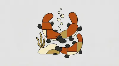 Flat illustration of three platypuses swimming underwater with bubbles and a rock on a light grey background