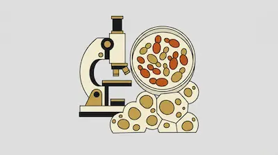 A stylized microscope stands next to a petri dish containing oval-shaped cells and a cluster of porous structures.