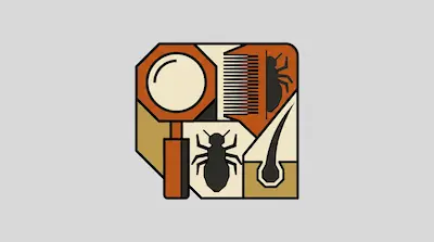 A geometric composition of icons including a magnifying glass, a fine-toothed comb, a louse, and a hair follicle.
