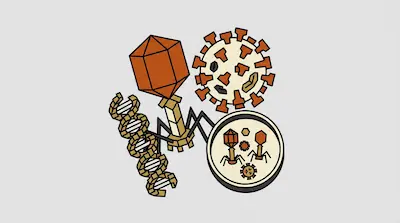 Stylized drawings of a bacteriophage, a spherical virus with spikes, a DNA double helix, and a petri dish.