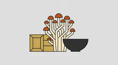 A cluster of long-stemmed mushrooms with orange caps sits between a tan box and a dark gray bowl.