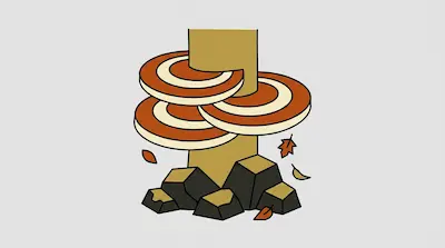 Orange and cream shelf mushrooms grow on a tree trunk above a base of dark rocks and scattered autumn leaves.