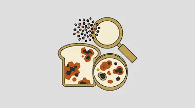 A slice of bread with mold spots, a petri dish, and a magnifying glass.