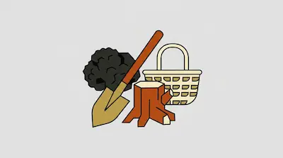 A pile of coal, a shovel, a tree stump, and a woven basket.