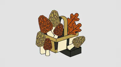A geometric basket filled with morel mushrooms and an oak leaf in earthy tones.