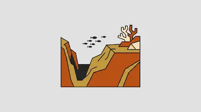 A school of fish swims between two rocky cliffs in a stylized underwater canyon with coral on the right.