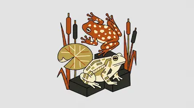 A stylized orange frog with white spots and a cream frog with brown stripes sit among cattails and a lily pad.
