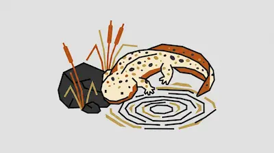 Flat illustration of a spotted salamander near a dark rock and cattails by a rippling pond on a gray background