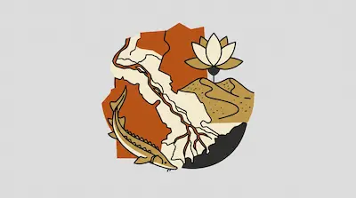 Volga Delta shown with branching waterways, lotus flower, crocodile, and layered terrain in orange and cream illustration