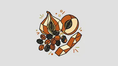 A split fig, a halved apricot, a cluster of raisins, and a strip of dried mango.