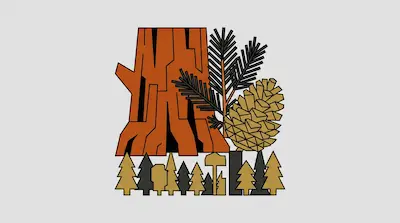 A large orange tree stump, pine needles, and a pinecone are depicted in a geometric style above a row of small trees.