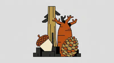 A tall yellow tree trunk, a thick reddish-brown tree, an acorn, and a pinecone are grouped together in a stylized graphic.