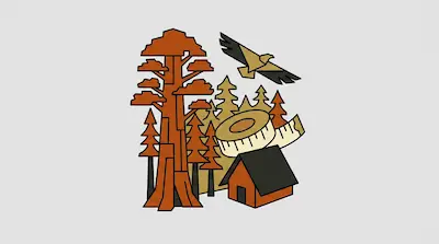 A stylized forest scene featuring a large redwood tree, a flying bird, a measuring tape, and a small cabin.