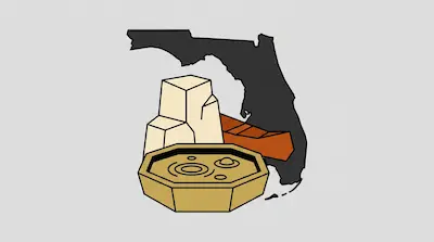 Florida springs illustrated with golden water pool, limestone formations, and orange warm-water mineral deposits.