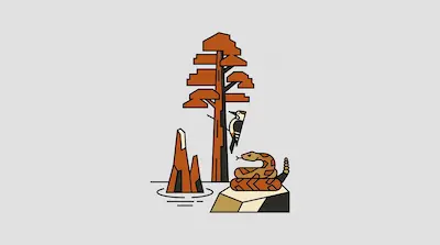 Piney Woods landscape with tall pine tree, woodpecker, reptile, and water elements