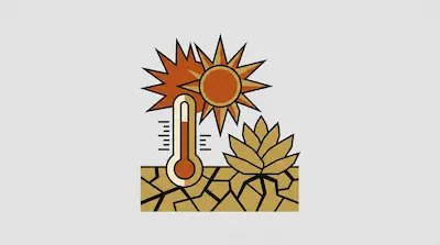 Flat illustration of a hot sun, a high thermometer, and a succulent plant on cracked dry earth with a gray background